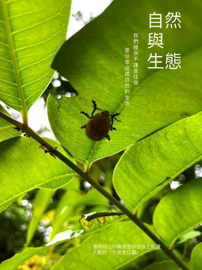 慢水山丘民宿 Slow Water Hill Yuemei Exterior foto